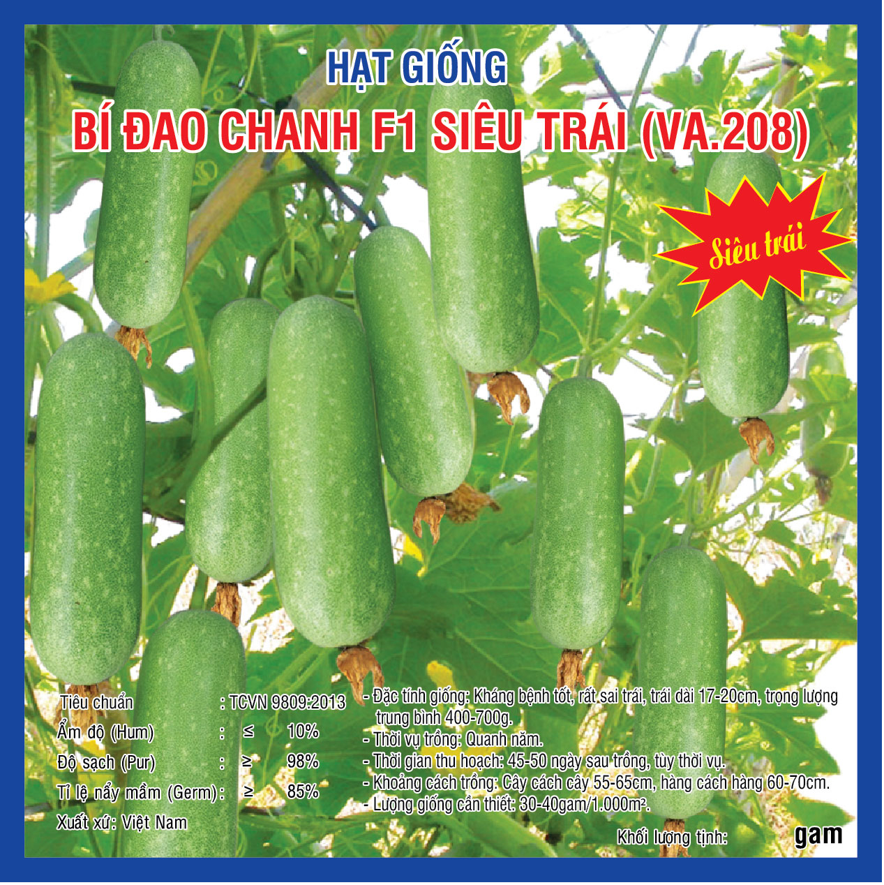 Hạt giống Bí Đao Chanh F1 WG9