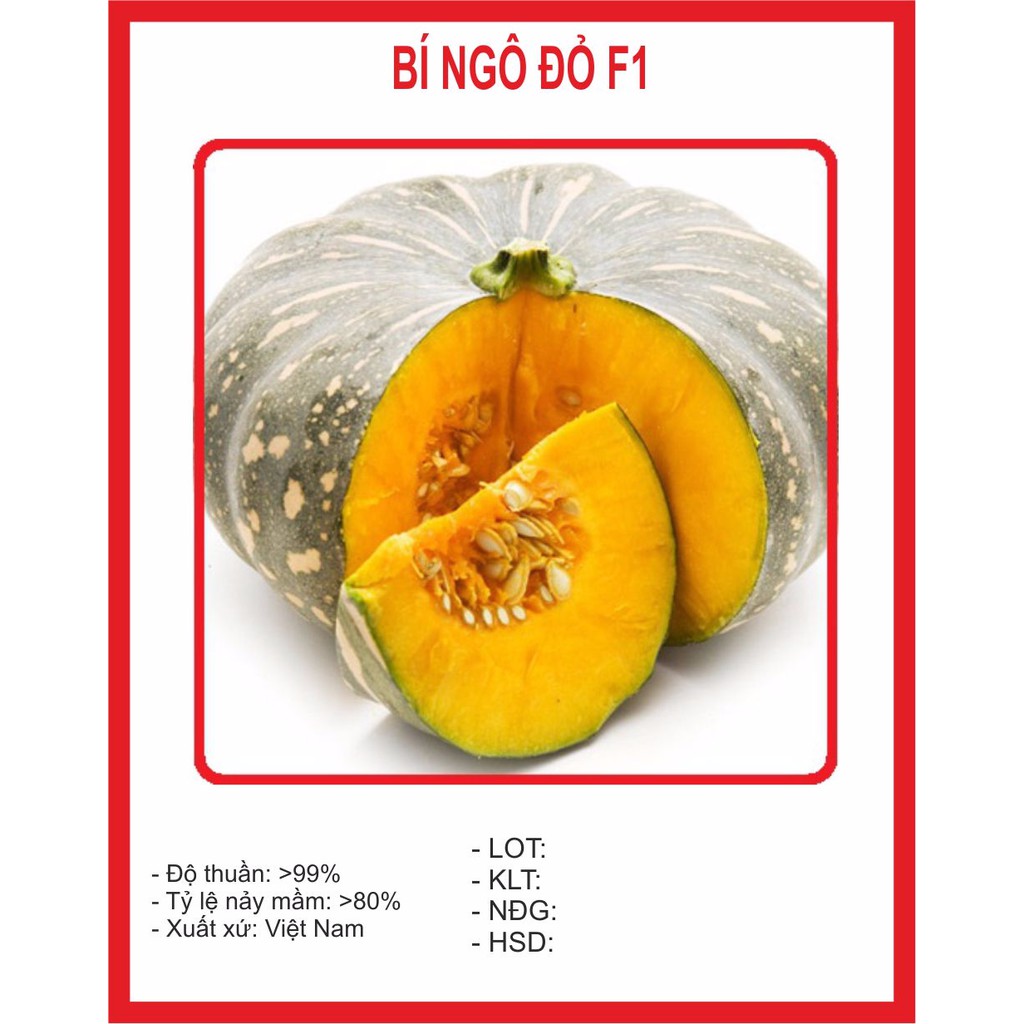 Hạt giống Bí Đỏ F1 Super Star