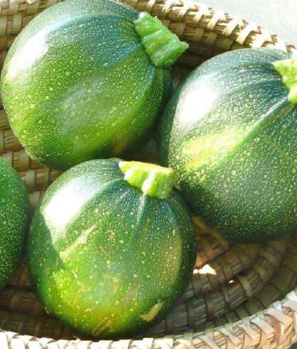 Hạt giống Bí ngô bao tử