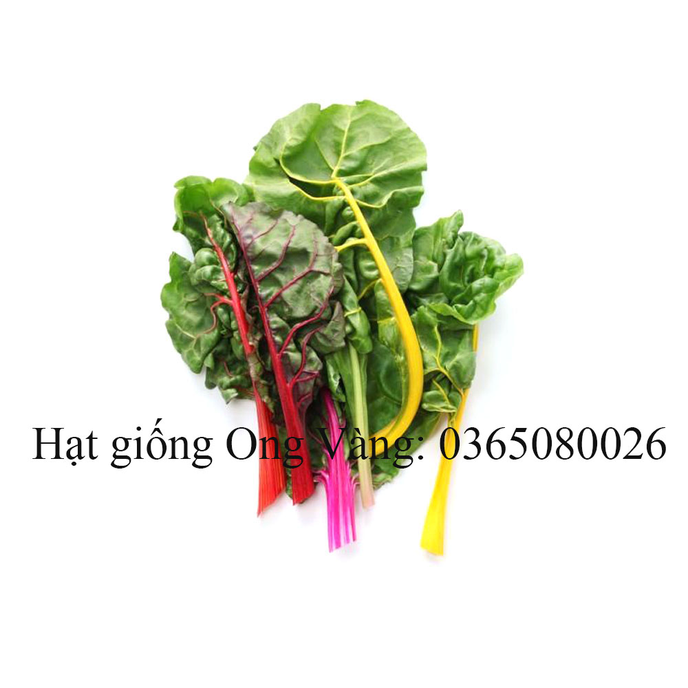 Hạt giống cải cầu vồng
