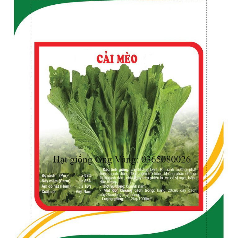 Hạt giống cải mèo Hà Giang