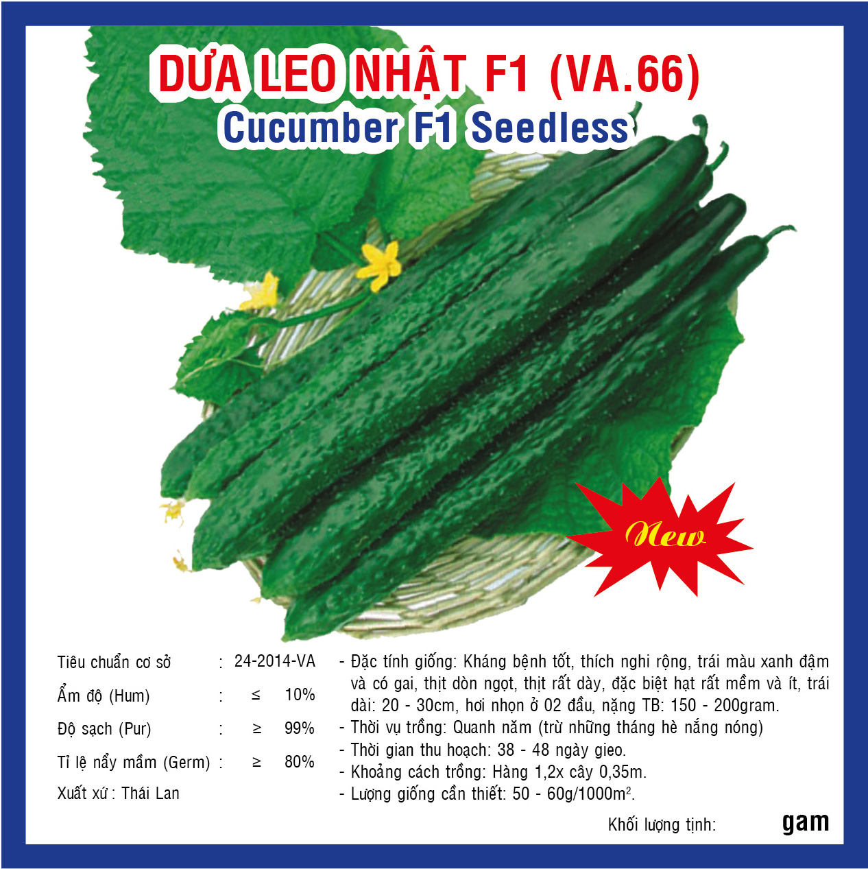 Hạt giống Dưa Leo Nhật F1