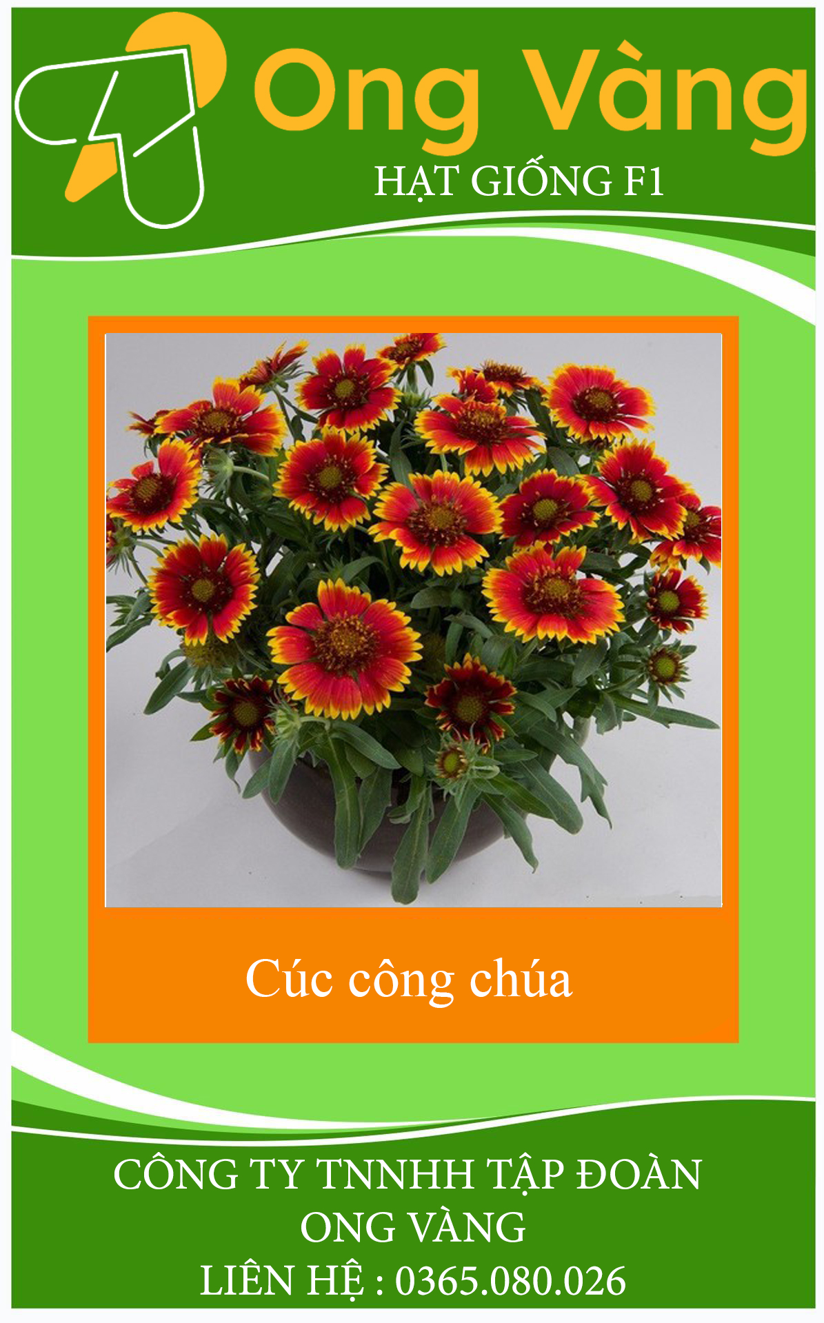 Hạt Giống Hoa Cúc Công Chúa Mix