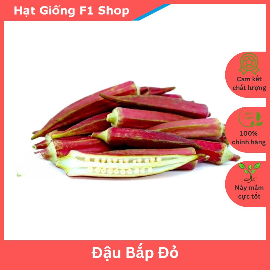 Hạt giống Đậu bắp đỏ