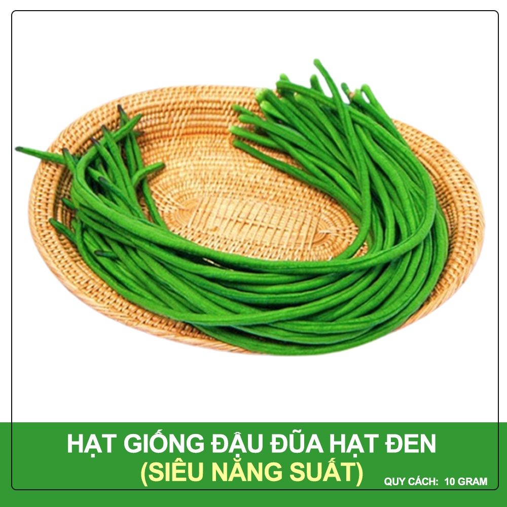 Hạt Giống Đậu Đũa Hạt Đen