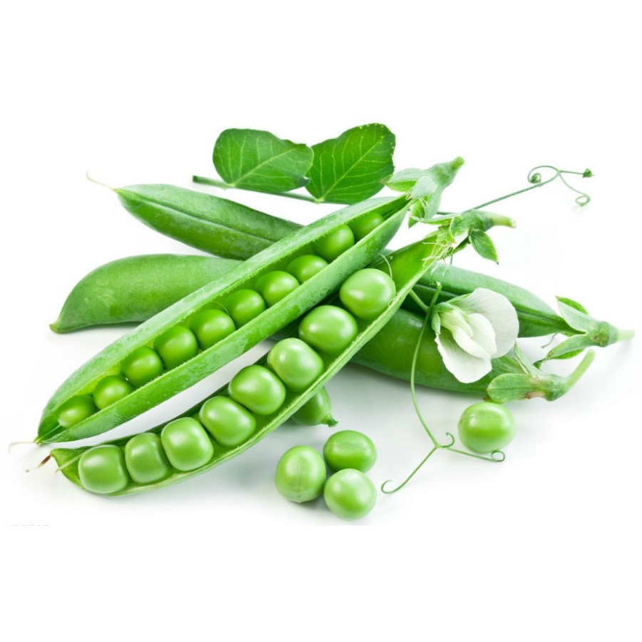 Hạt giống đậu hà lan