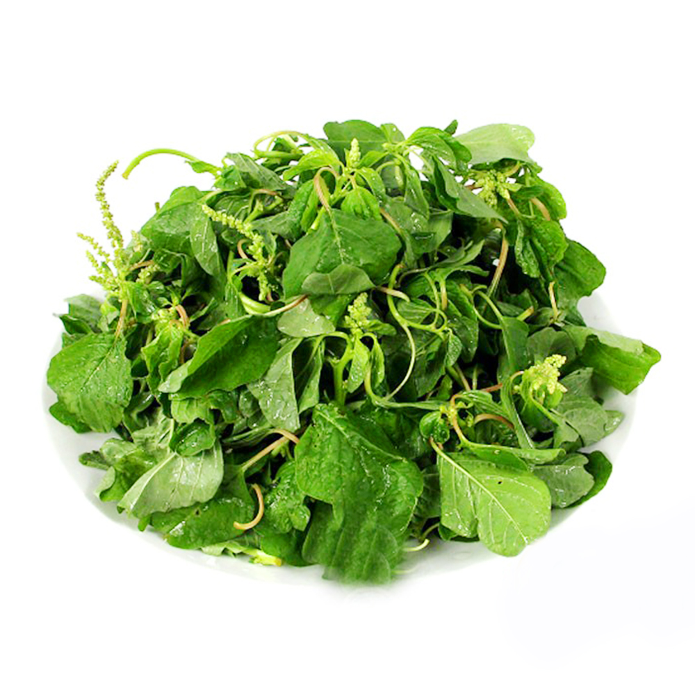 Hạt giống Rau dền cơm