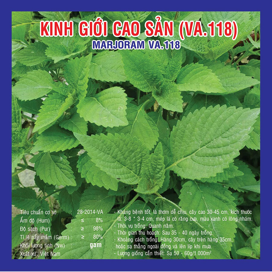 Hạt giống Rau kinh giới