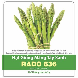 Hạt giống Măng Tây