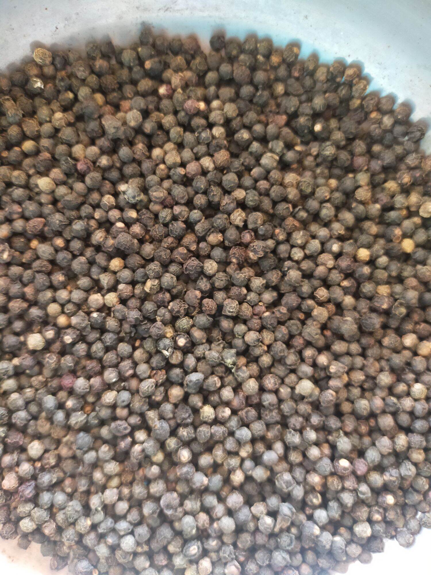 Hạt giống Mồng tơi