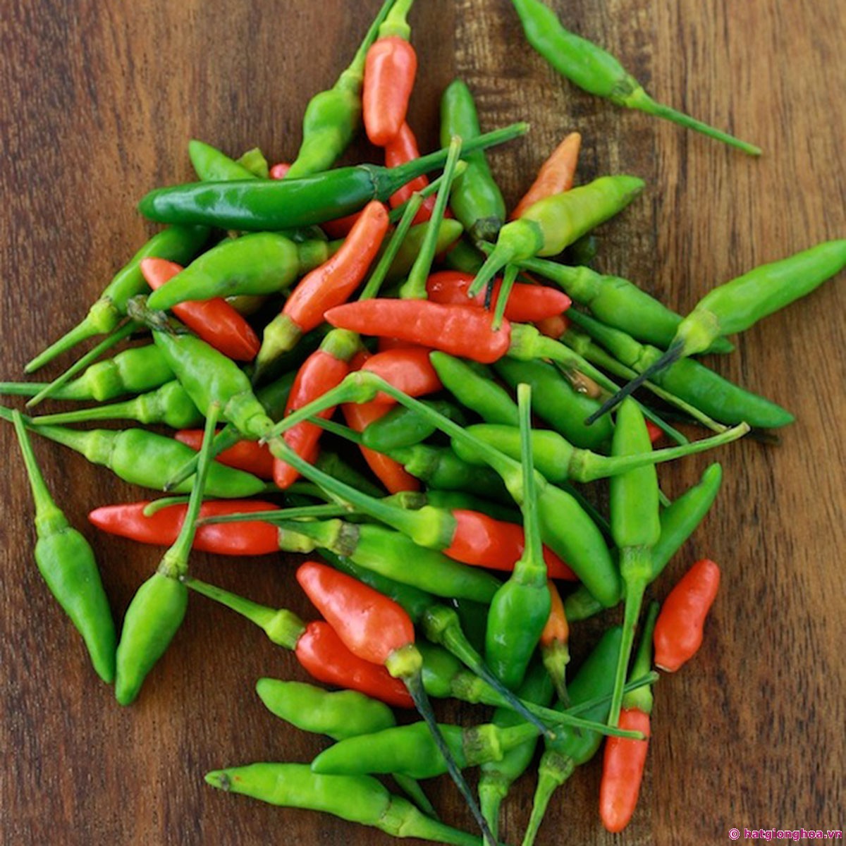 Hạt Giống Ớt Xiêm