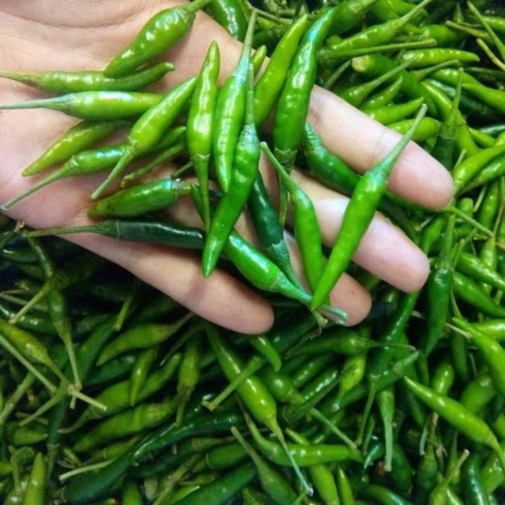 Hạt Giống Ớt Xiêm