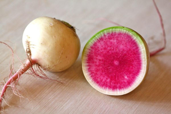 Hạt giống củ cải ruột hồng