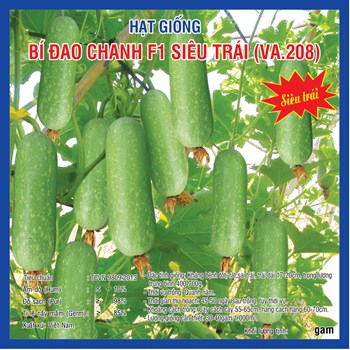 Hạt giống Bí Đao Chanh F1 WG9