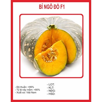 Hạt giống Bí Đỏ F1 Super Star