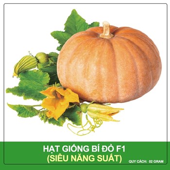 Hạt giống Bí Đỏ F1 Super Star