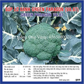 Hạt Giống Bông Cải Xanh F1