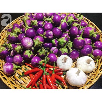Hạt giống Cà Pháo Tím Cao Sản
