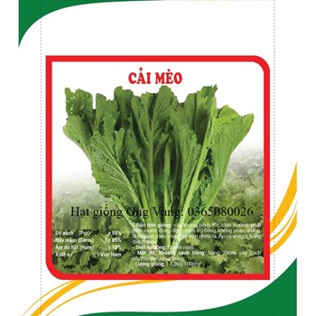 Hạt giống cải mèo Hà Giang