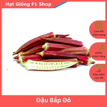 Hạt giống Đậu bắp đỏ