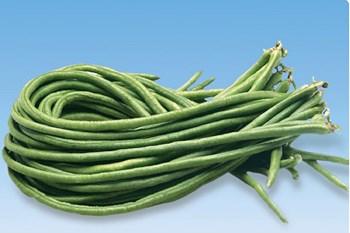 Hạt Giống Đậu Đũa Hạt Đen