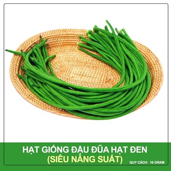 Hạt Giống Đậu Đũa Hạt Đen