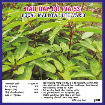 Hạt giống rau đay đỏ cao sản