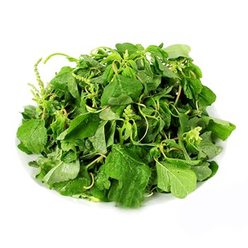 Hạt giống Rau dền cơm