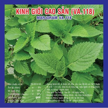 Hạt giống Rau kinh giới