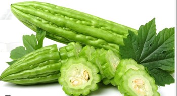 Hạt Giống Khổ Qua F1