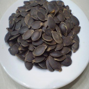Hạt giống mướp hương F1