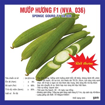 Hạt giống mướp hương F1