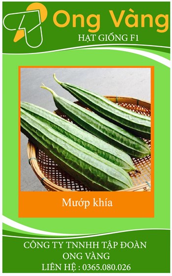 Hạt giống mướp khía