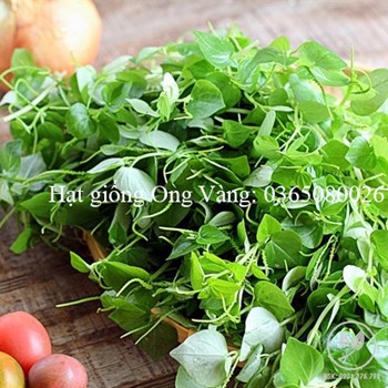 HẠT GIỐNG RAU CÀNG CUA
