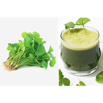Hạt giống rau má