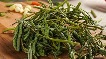 Hạt Giống Rau Nhút