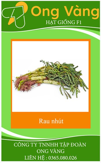 Hạt Giống Rau Nhút