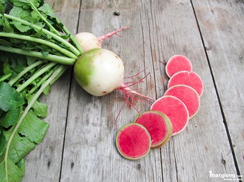 Hạt giống củ cải ruột hồng