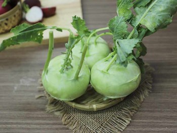 Hạt giống su hào nhật AMORI