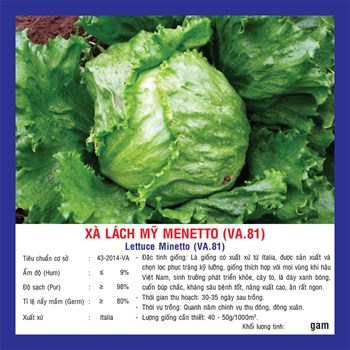 Hạt giống Xà lách MINETTO