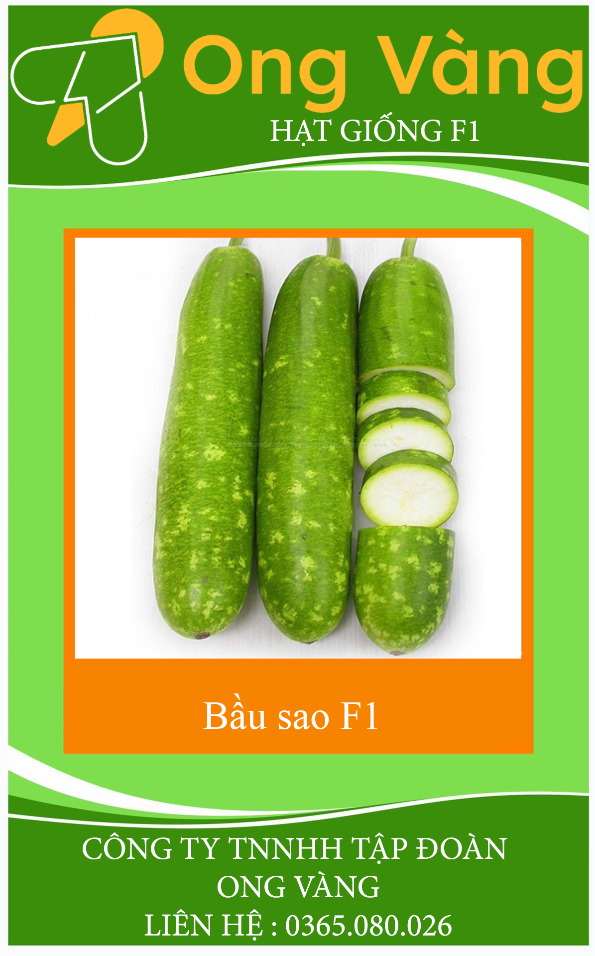 Hạt giống Bầu Sao