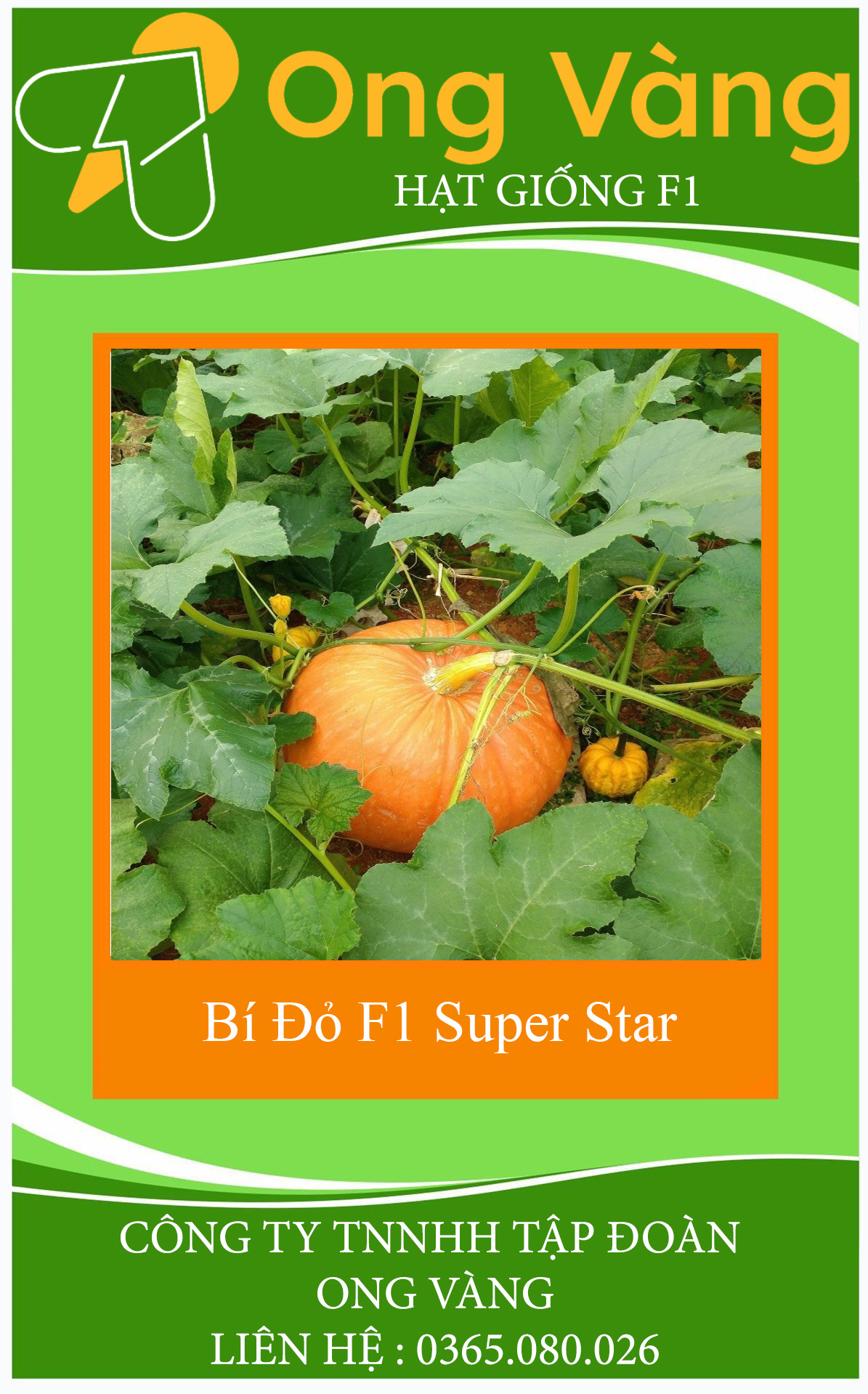 Hạt giống Bí Đỏ F1 Super Star