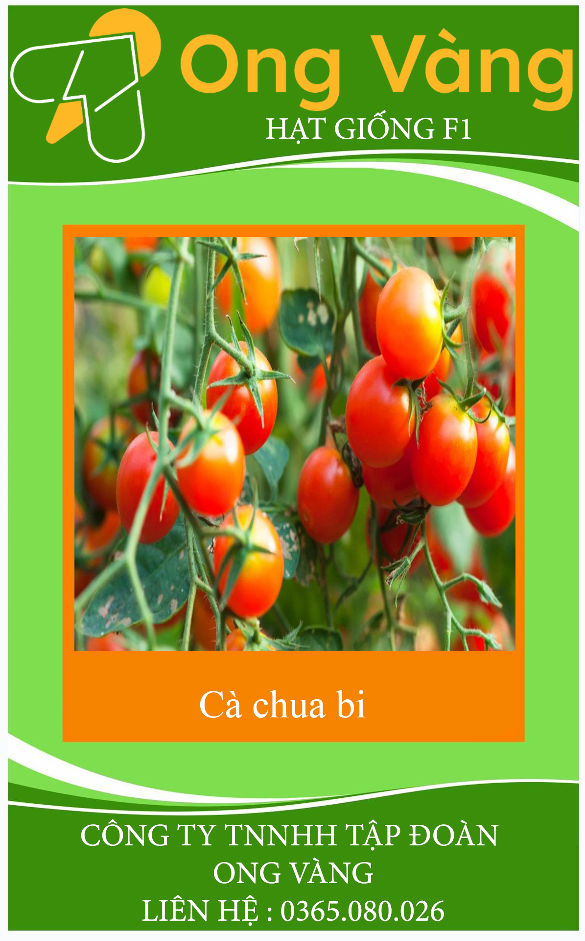 Hạt giống Cà Chua Bi F1