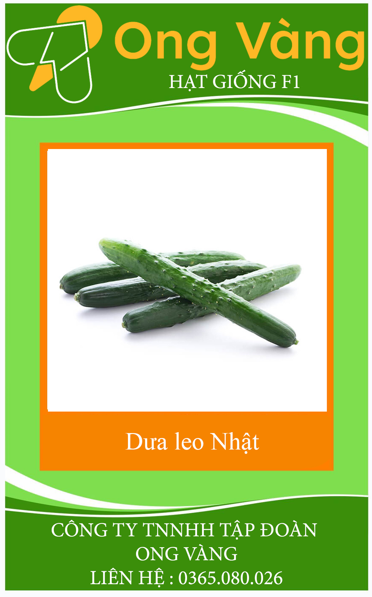 Hạt giống Dưa Leo Nhật F1