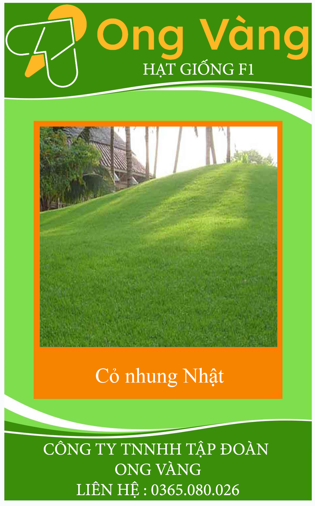HẠT GIỐNG CỎ NHUNG NHẬT