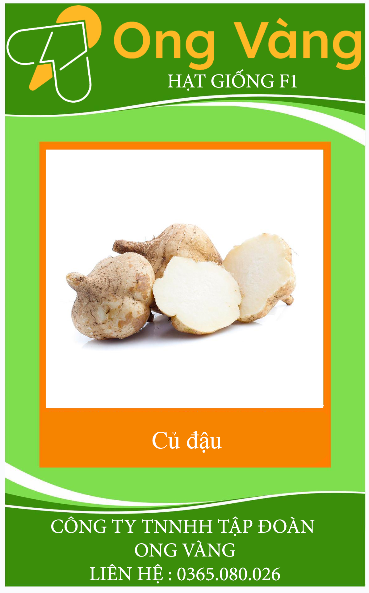 HẠT GIỐNG CỦ ĐẬU