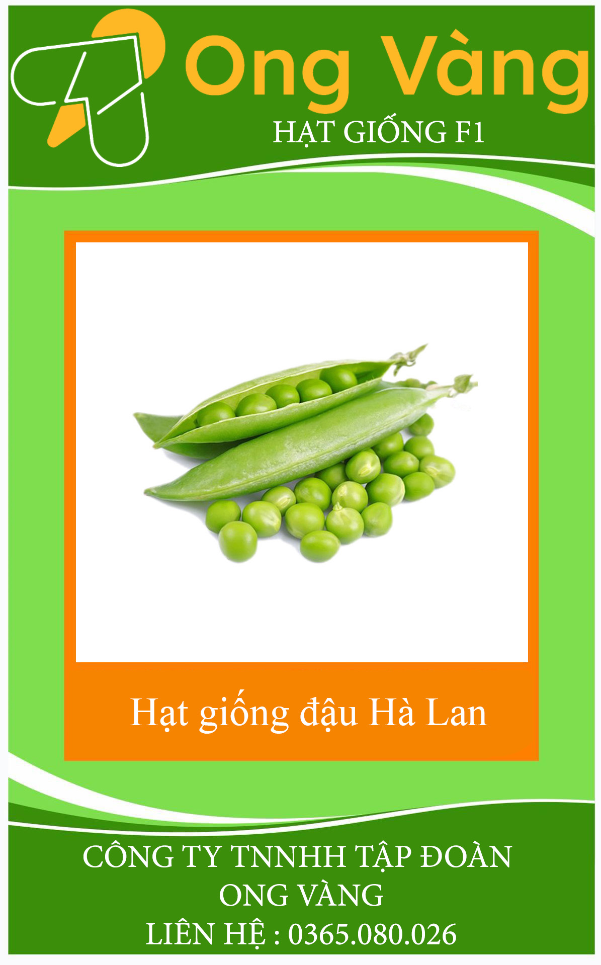 Hạt giống đậu hà lan