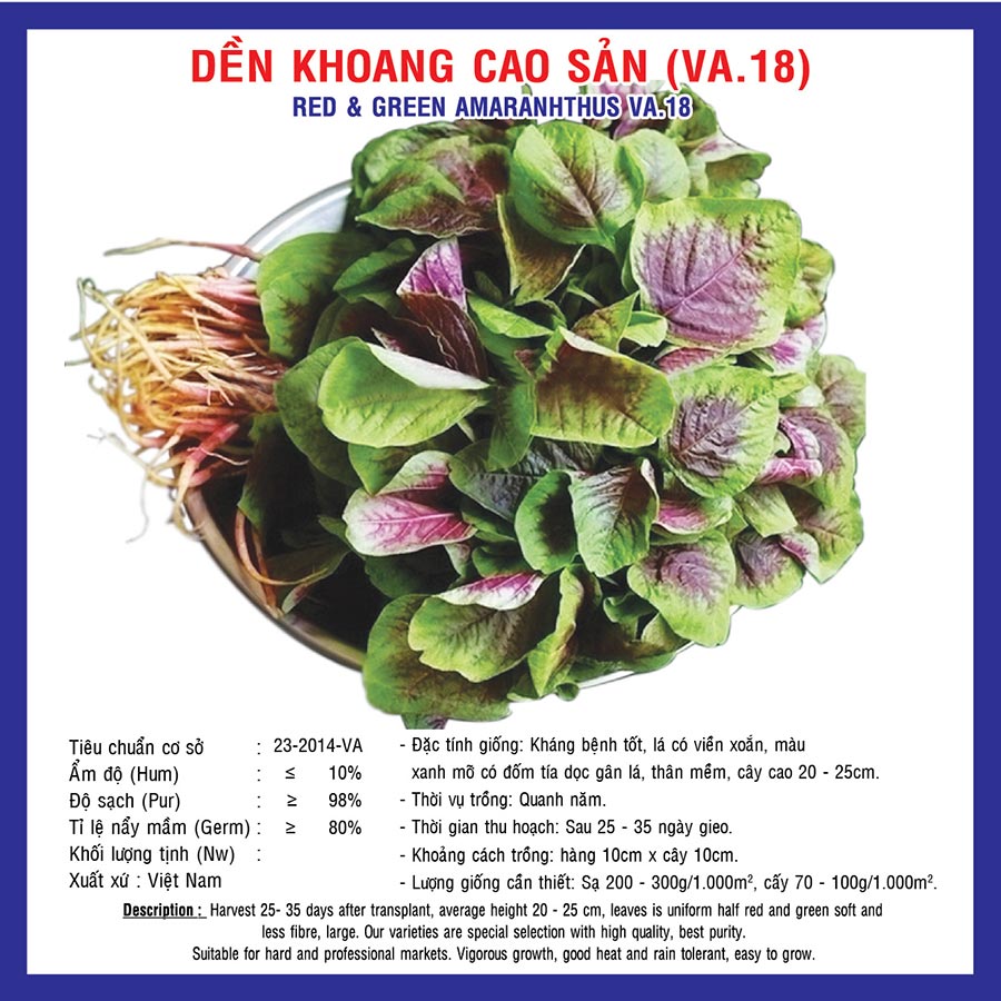 Hạt Giống Dền lá tròn