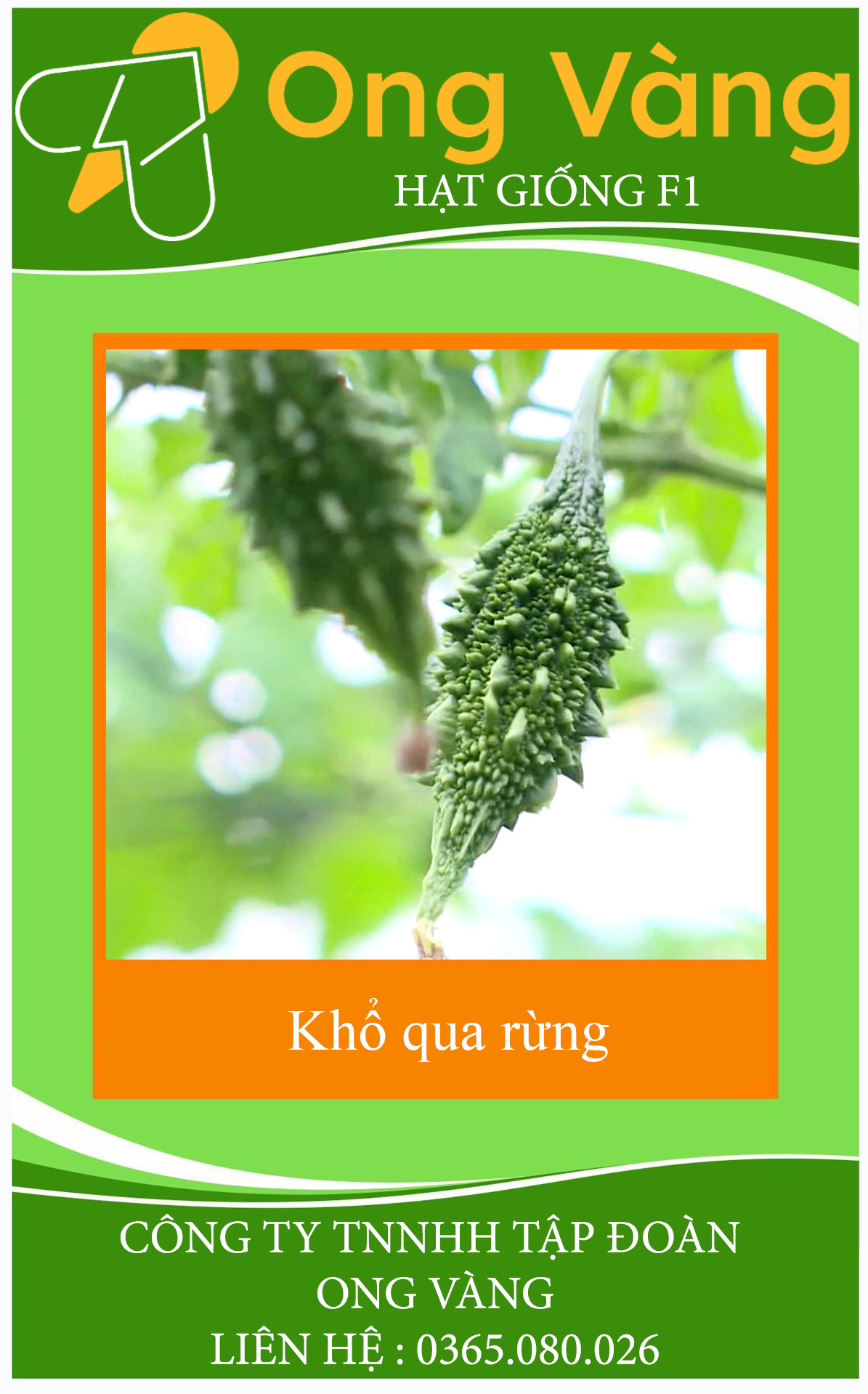 Hạt Giống Khổ Qua Rừng
