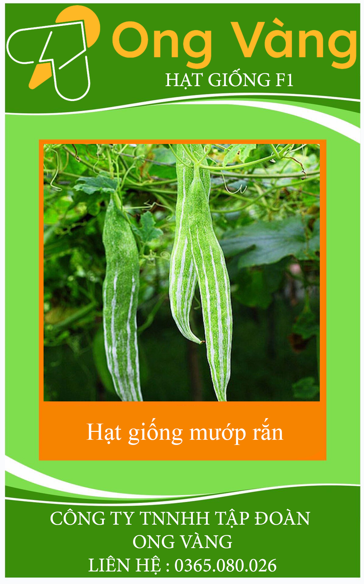 Hạt giống mướp rắn
